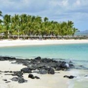 3FE28A31-D55E-44B8-A797-D636485C7046_1_201_a