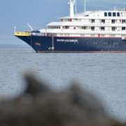 9AA26788-7BDF-4193-B1C9-8852D73816CB_1_201_a