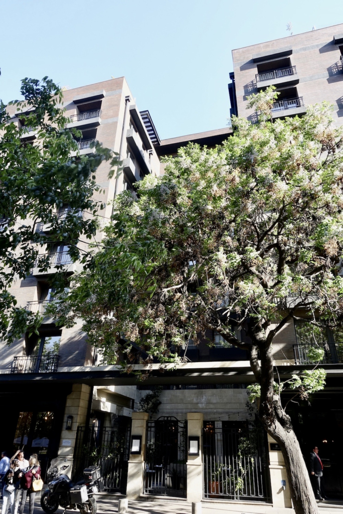 The Singular Hotel Santiago The Singular Hotel Santiago - best hotel & restaurants Santiago de Chile